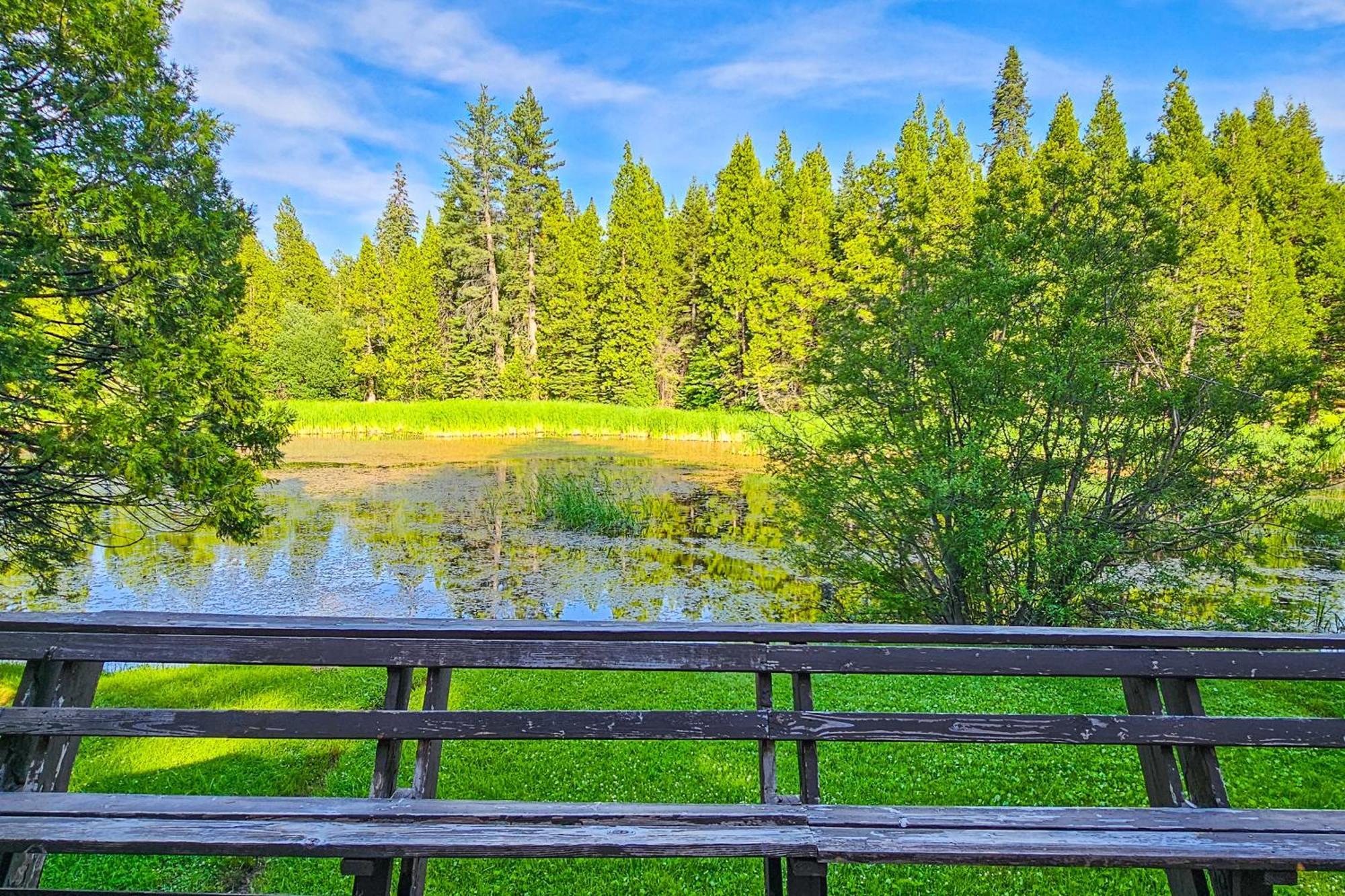 Villa Water'S Edge Retreat à Shaver Lake Extérieur photo